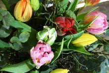 Lade das Bild in den Galerie-Viewer, Blumenstrauß Frühlingsliebe
