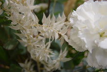 Lade das Bild in den Galerie-Viewer, Eleganz in weiß