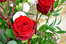 Lade das Bild in den Galerie-Viewer, Blumenstrauß Wachsende Liebe