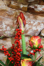 Lade das Bild in den Galerie-Viewer, Blumenstrauß Dornröschen