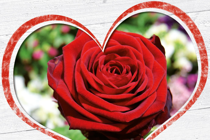 Sonderöffnungszeiten am Valentinstag