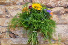 Lade das Bild in den Galerie-Viewer, Bunter Sommertag

